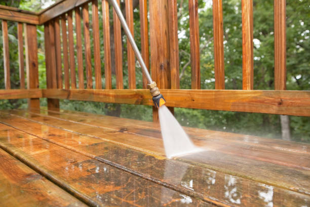 Best Soft Washing for Delicate Surfaces in Rosemount, MN